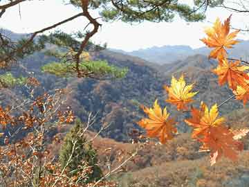 揭秘3000亿首富家族，隐匿17年的辉煌传奇